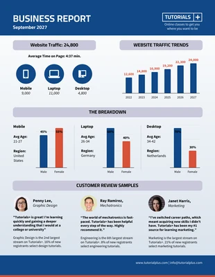 business  Template: Catskill White Business Technical Report Template