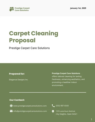 premium  Template: Carpet Cleaning Proposal Template