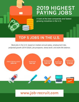 premium  Template: Highest Paying Jobs Statistics Infographic Template