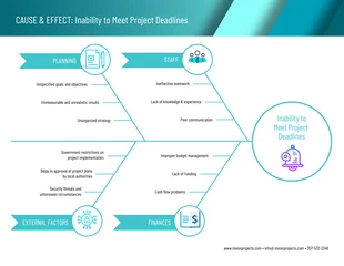 premium  Template: Project Management Cause and Effect Fishbone Diagram Template