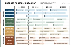 business  Template: Business Portfolio Roadmap Template