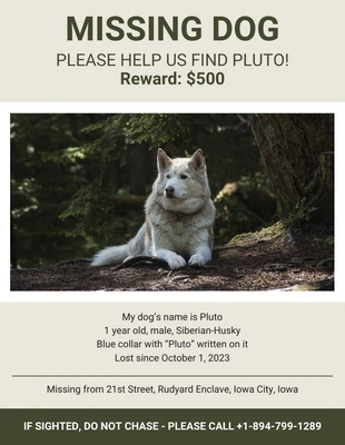 Free  Template: Photo Lost Dog Poster