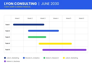 business  Template: Consultant Project Gantt Chart Timeline Template