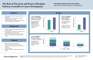 Free  Template: Pentose Phosphate Pathway in Cancer Research Poster