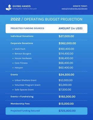 premium  Template: Gradient Nonprofit Budget Annual Report Template