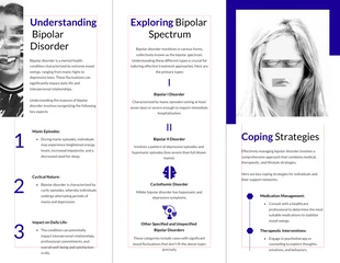 Bipolar Disorder Insights Accordion-Fold Brochure - Page 2