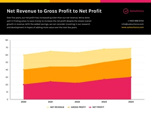 premium  Template: Revenue Profits Area Chart Template