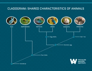 business  Template: Cladogram Example Diagram Template