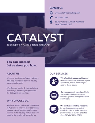 business  Template: B2B Consulting Service Flyer Template