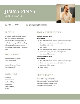 Free  Template: Sage Green Clean Finance Resume Template