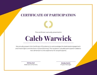 business  Template: Purple Yellow Geometric Certificate of Participation Template