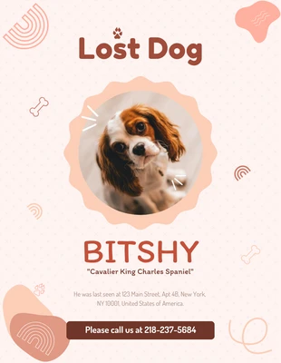 Free  Template: Peach Playful Lost Dog Poster