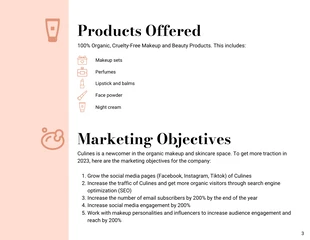 White and Beige Marketing Plan Report Template - Page 3