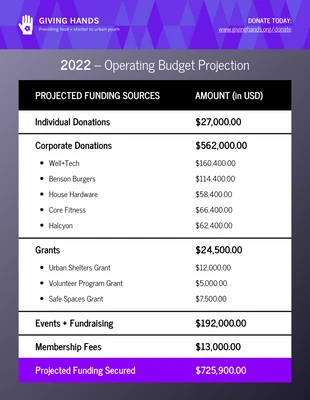 business  Template: Nonprofit Budget Annual Report Template