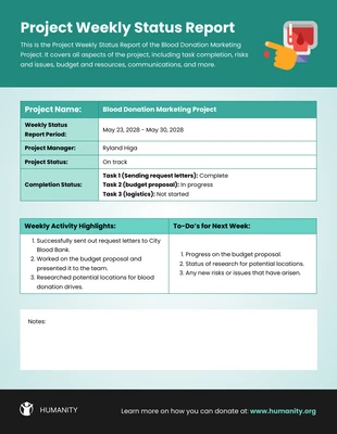 business  Template: Medical Weekly Report Template