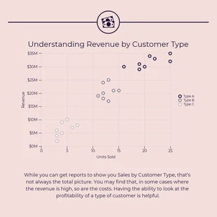 premium  Template: Revenue by Customer Type Scatterplot Template