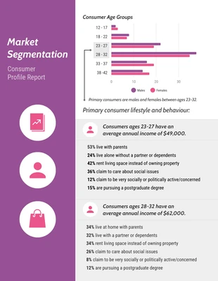 Free  Template: Strikemaster Market Segmentation Report Template