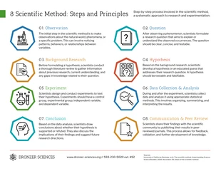 premium  Template: The Scientific Method Steps and Principles Infographic Template