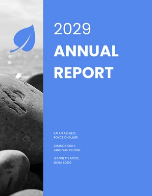 premium  Template: Non Profit Annual Report Template