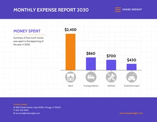 premium  Template: Monthly Expenses Report Bar Chart Template