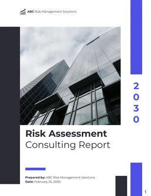 business  Template: Risk Assessment Consulting Report Template