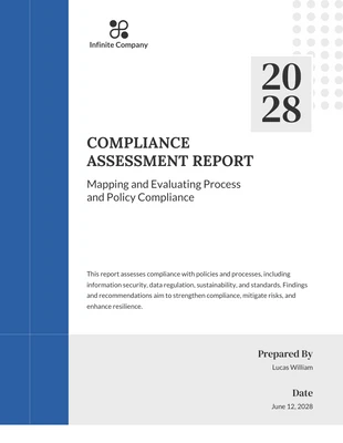 Free  Template: Compliance Assessment Report Template