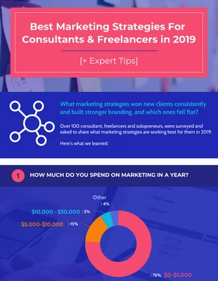 premium  Template: Freelancer Marketing Strategy Statistics Infographic Template