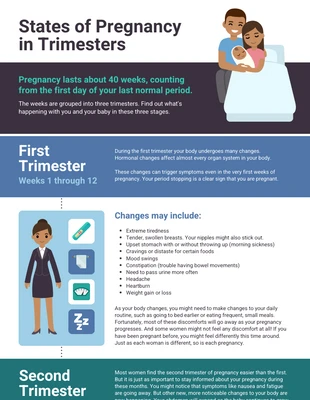 business  Template: States of Pregnancy Timeline Infographic Template