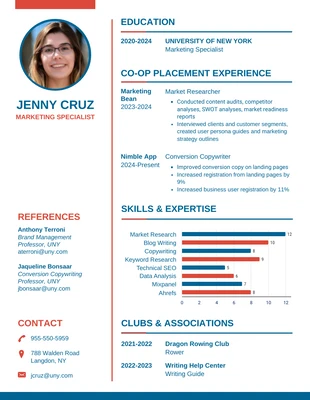 premium  Template: Light Marketing Executive Resume Template