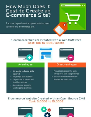 business  Template: Creating E-commerce Website Costs Infographic Template