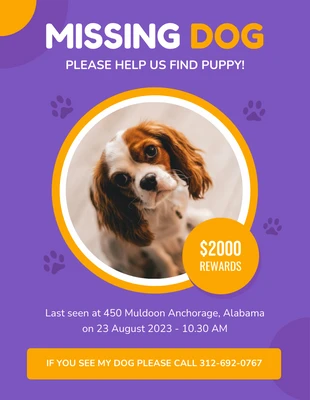 Free  Template: Fuchsia Blue Missing Dog Flyer Template