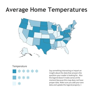 premium  Template: United States Map Infographic Template