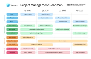 premium  Template: Colorful Project Management Roadmap Template