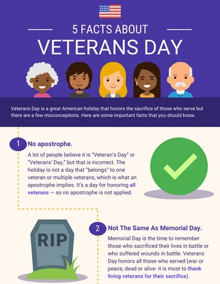 premium  Template: Icon Veterans Day Facts Infographic Template