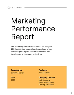 business  Template: Marketing Performance Report Template