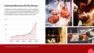 Red Wine Investor Pitch Deck Template - Page 4