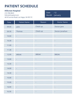 Free  Template: Blue Pastel Patient Schedule Template