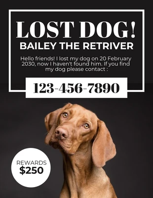 Free  Template: Thunder Black Missing Dog Flyer Template