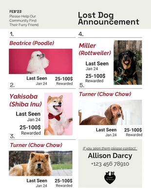 Free  Template: White and Beige Community Lost Dog Announcement Poster