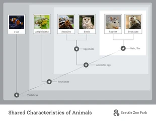 Free  Template: Gray Editable Cladogram Example Diagram Template