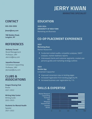 premium  Template: Blue Marketing Executive Resume Template