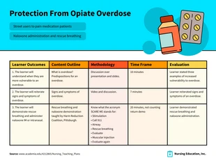 premium  Template: Protection from Opiate Overdose Nursing Plan Template