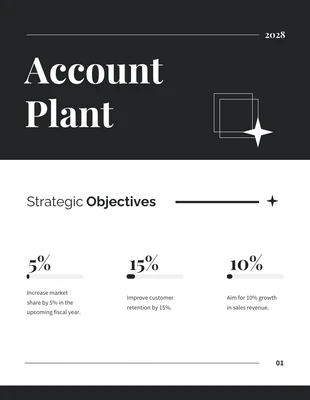 Free  Template: Simple White Black Account Plan Template