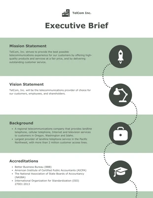 premium  Template: Executive Brief Example Template