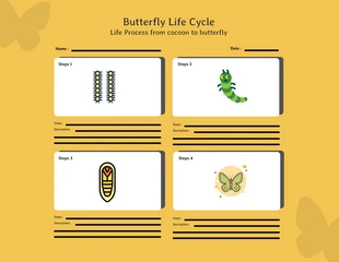 Free  Template: Butterfly Life Cycle Storyboard Diagram Template