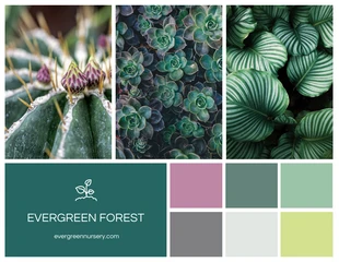 Free  Template: Plant Mood Board