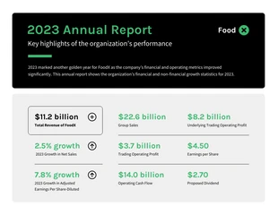 premium  Template: Corporate Annual Report Template