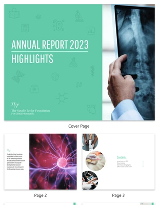 business  Template: Annual Medical Report Summary Template