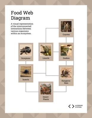 Free  Template: Food Web In A Desert Ecosystem Diagram Template