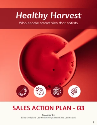 premium  Template: Customer Sales Action Plan Template